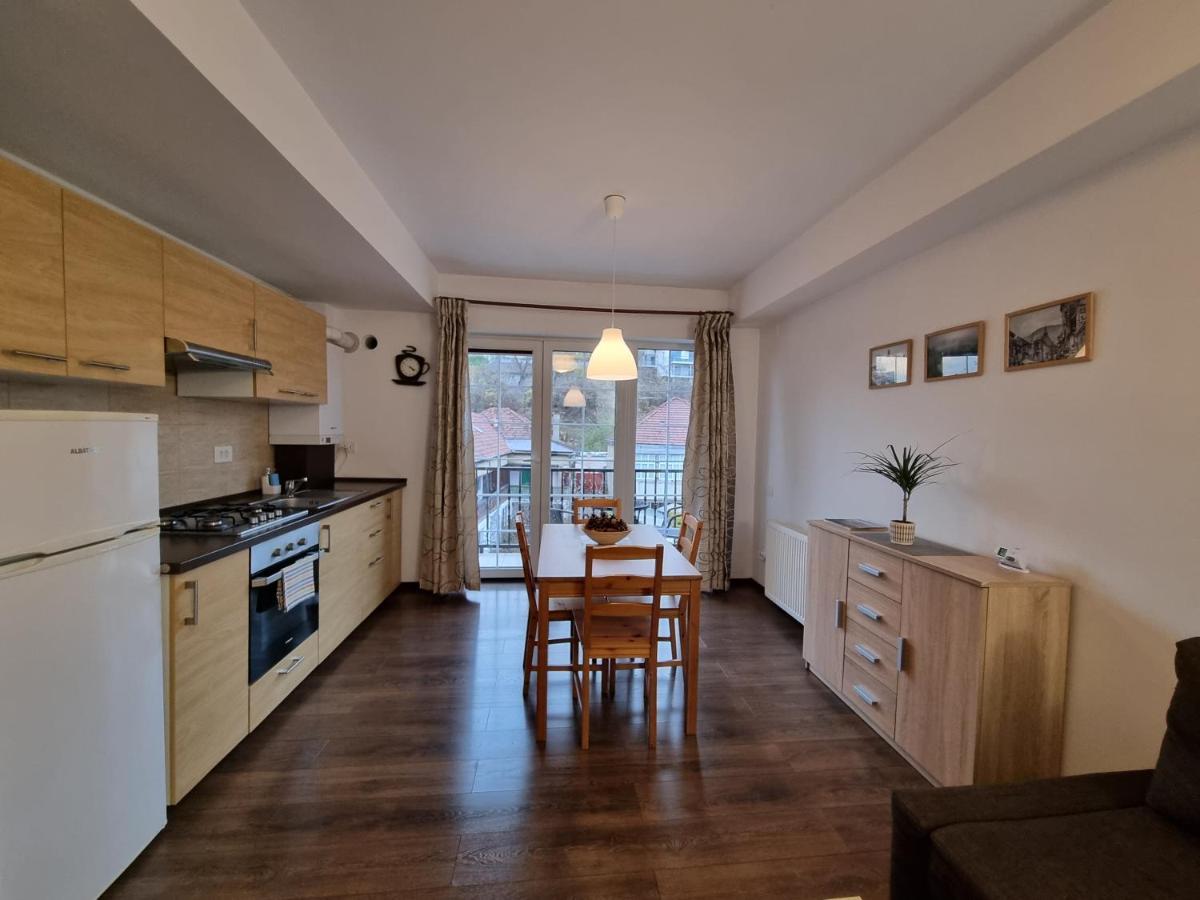 Avram Iancu Private Apartment With Ac Braszów Zewnętrze zdjęcie