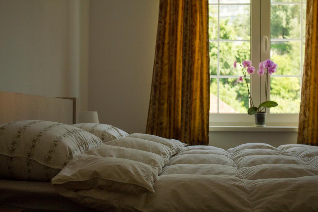 Avram Iancu Private Apartment With Ac Braszów Zewnętrze zdjęcie